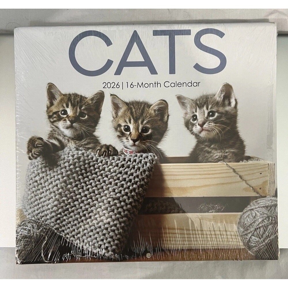2026 - Cats - Wall Calendar - 10 X 11  16 month New